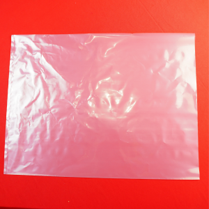 Alternative view of Bao PE Trong