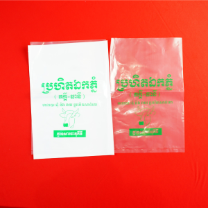 Bao PE Trong In 1 Màu