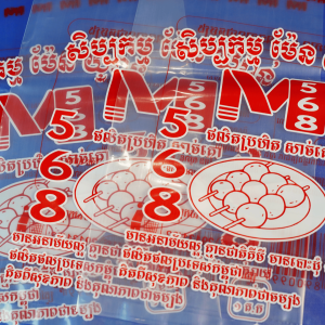 Alternative view of Bao PE In 1 Màu