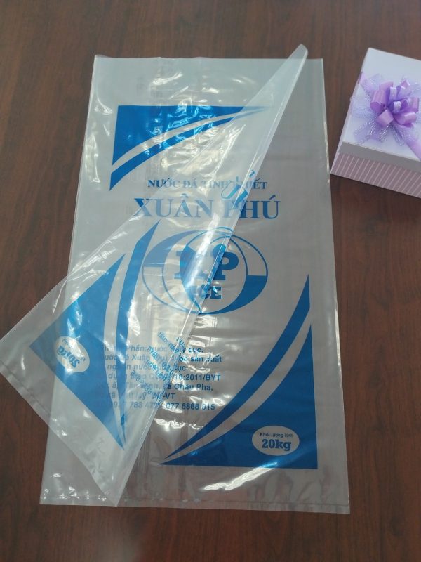 Túi PE In Một Màu, In Nhiều Màu_Đa dạng mẫu mã, số lượng - Ảnh 2