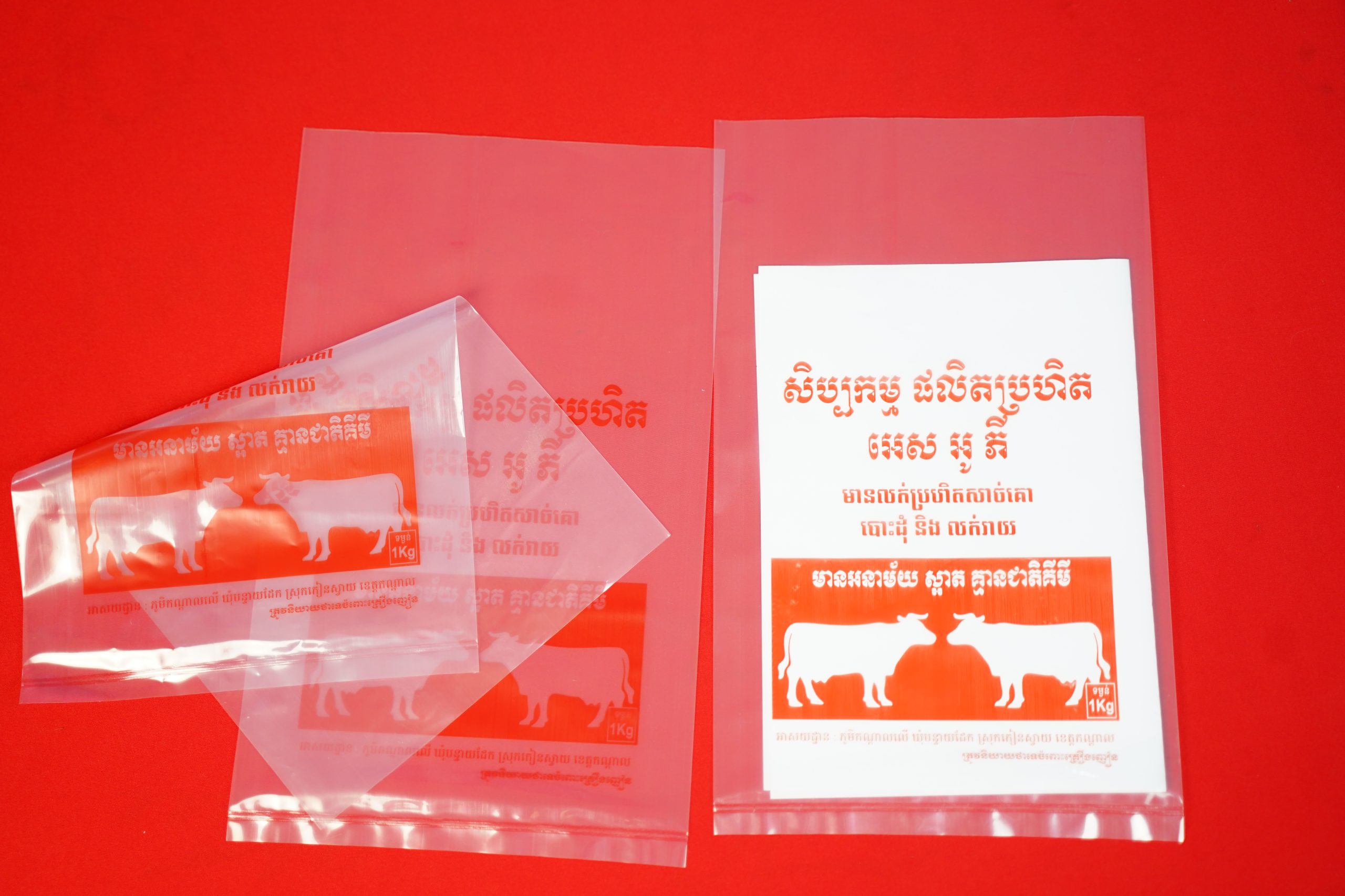 Túi PE trong in 1 màu - Ảnh 2