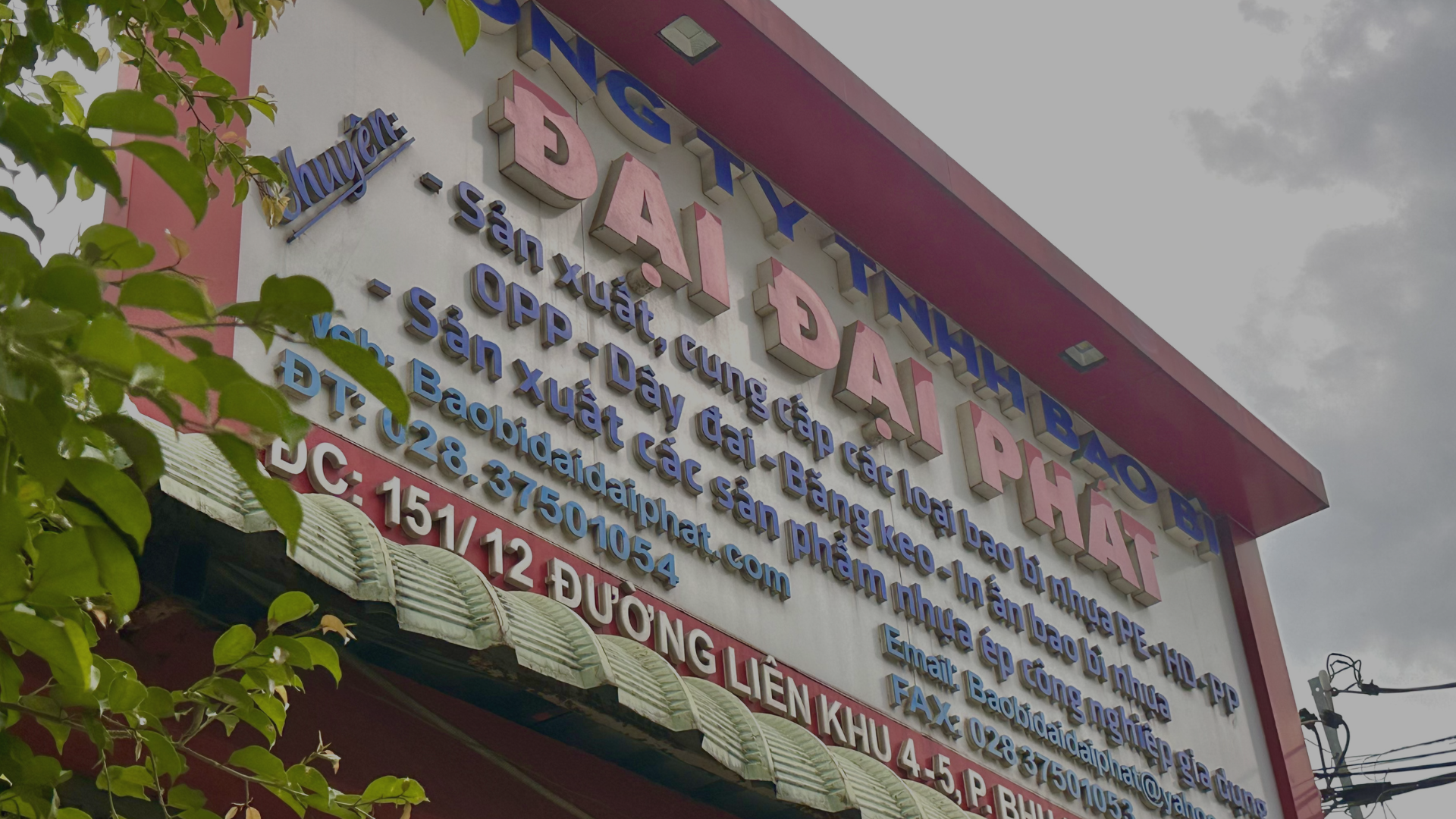 Bao bì Đại Đại Phát