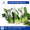 Túi OPP OPP túi đựng rau